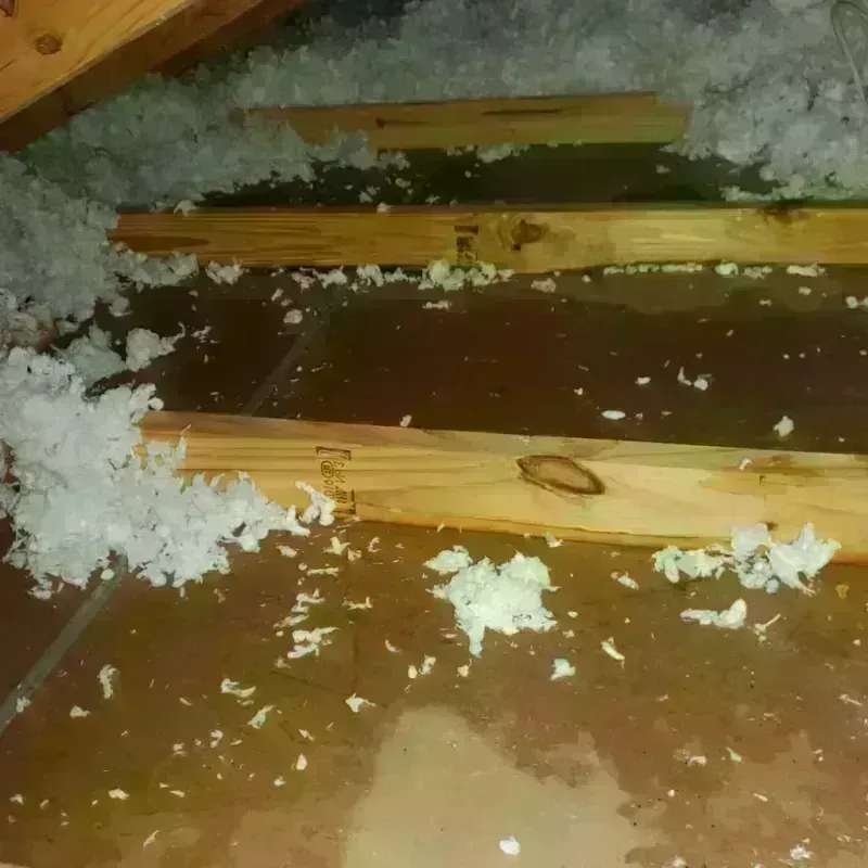 Attic Water Damage in Prairieville, LA