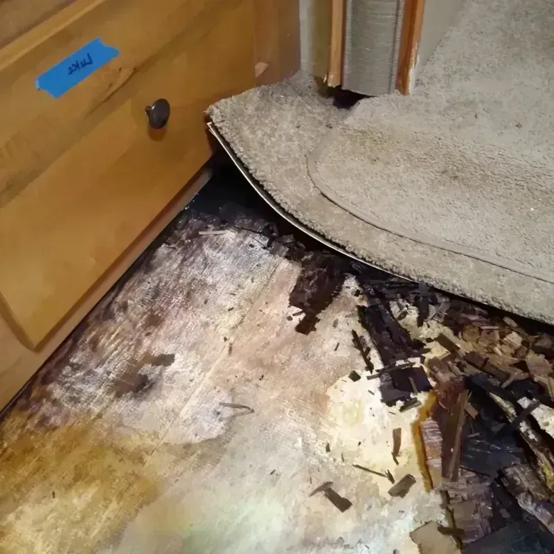 Best Wood Floor Water Damage Service in Prairieville, LA